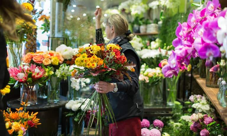schnittblumen.jpg